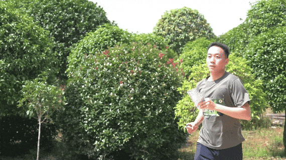 4.gif