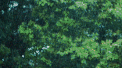 640 (8).gif